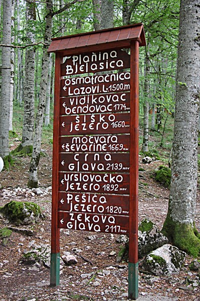 046-Биоградска гора
